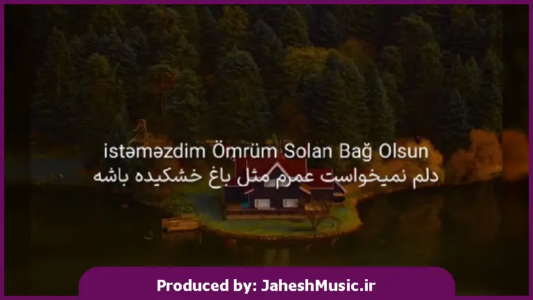 دانلود آهنگ ترکی ایستمیزدیم عمروم سولان باغ اولسون 